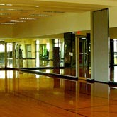 Commercial Glass Mirrored Walls